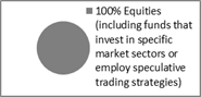 Asset Allocation Pie chart showing 100% equities (including funds that invest in specific market sections or employ speculative trading strategies)