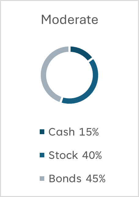Moderate portfolio chart made up of 15% cash, 40% stocks and 45% bonds.